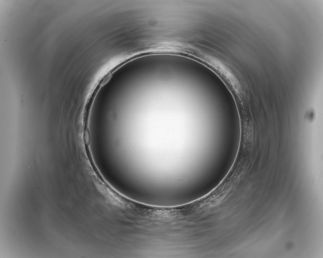 X0000099421480200805161034