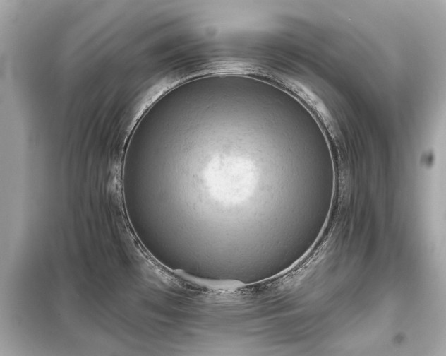 X0000099421481200805161034