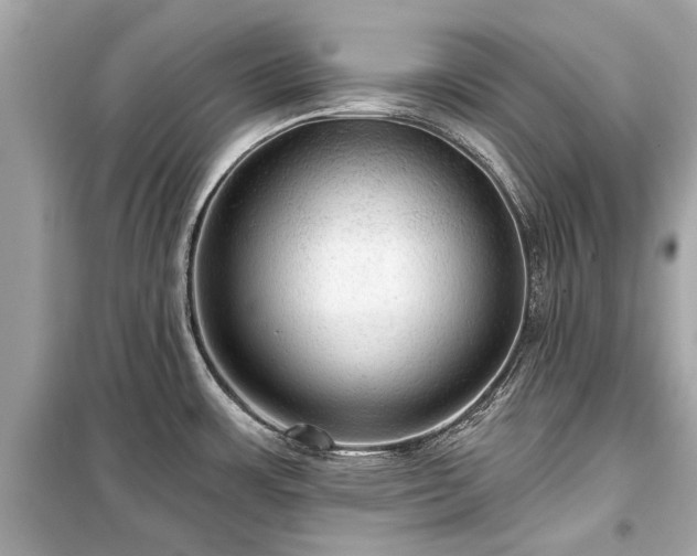 X0000099421483200805161034