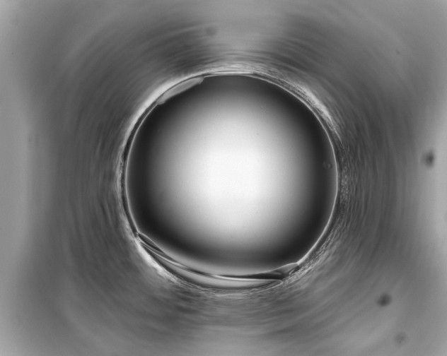 X0000099421484200805161034