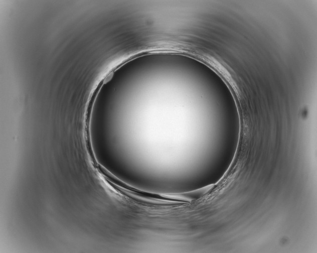 X0000099421485200805161034