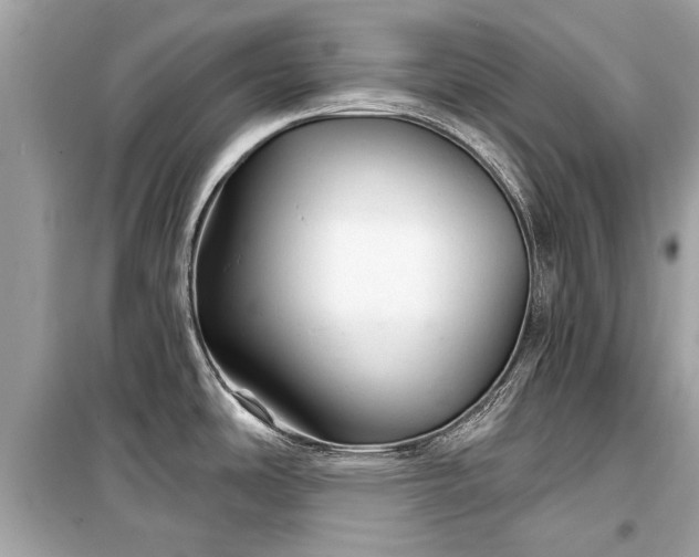 X0000099421486200805161034
