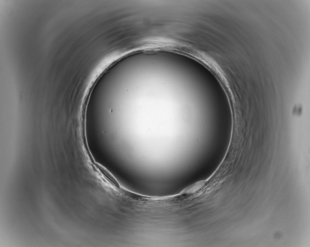 X0000099421488200805161034