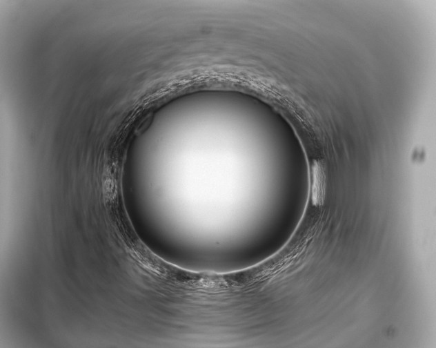 X0000099421491200805161033