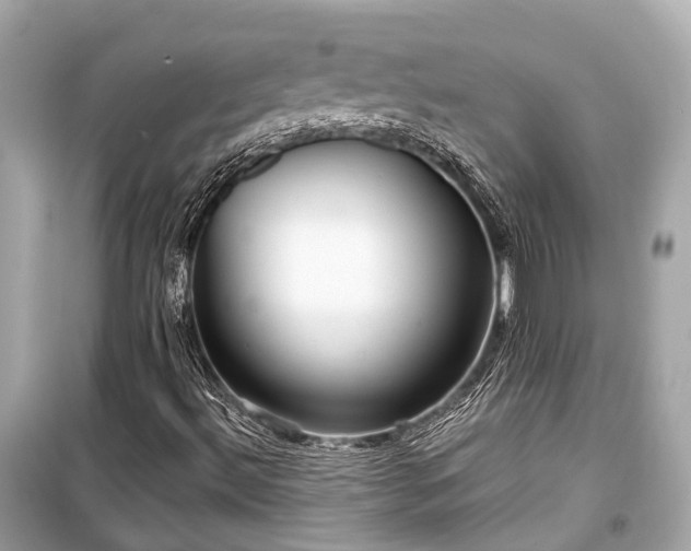 X0000099421492200805161033