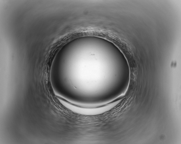 X0000099421493200805161033