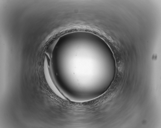 X0000099421495200805161033