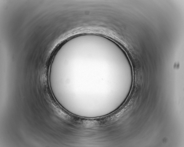 X0000099421498200805161033
