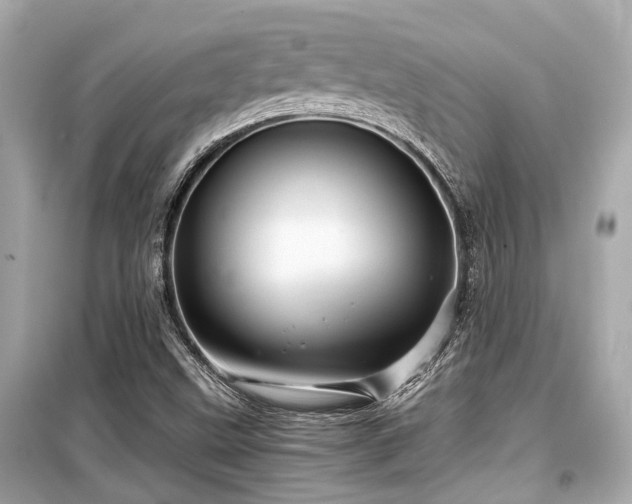 X0000099421499200805161033