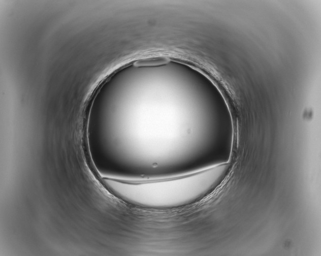 X0000099421500200805161033