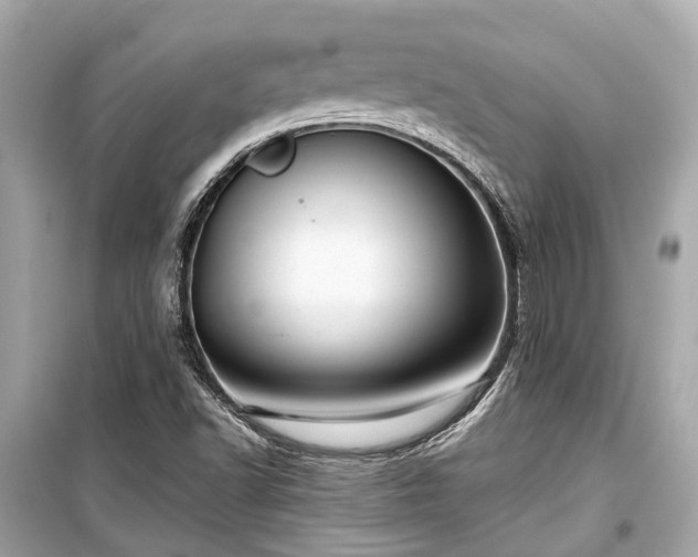 X0000099421502200805161033