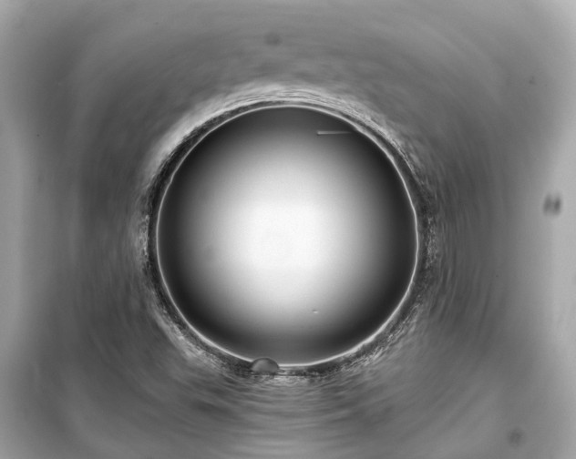 X0000099421503200805161033