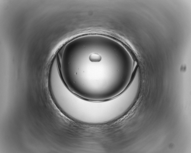 X0000099421504200805161033