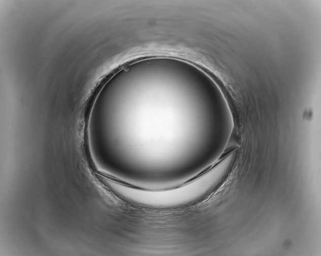 X0000099421507200805161033