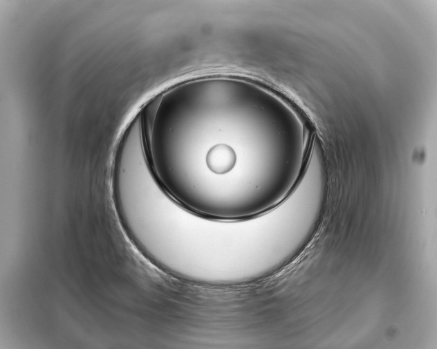 X0000099421508200805161033