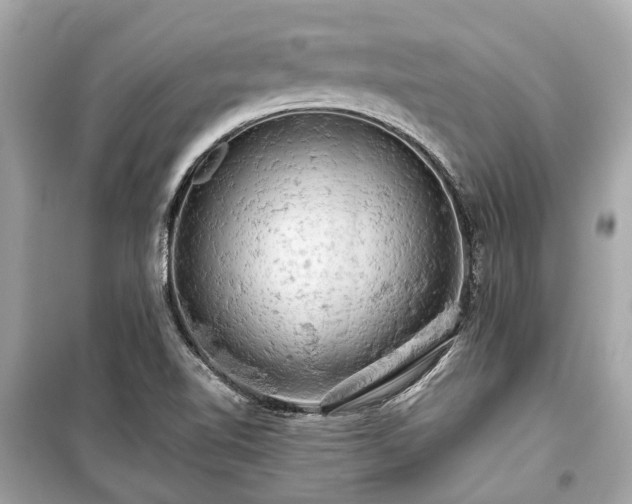 X0000099421510200805161033