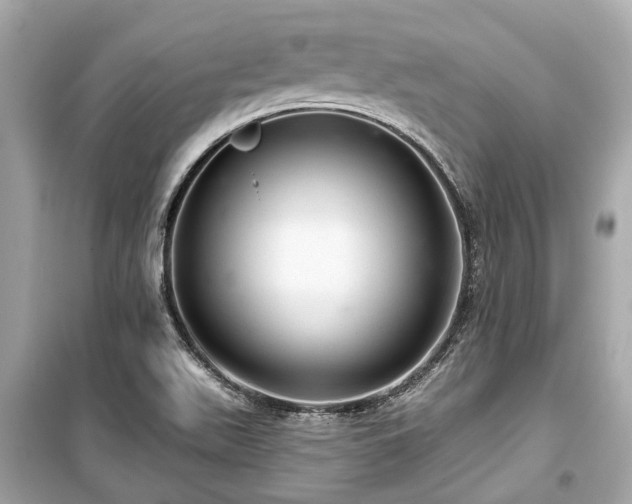 X0000099421511200805161033