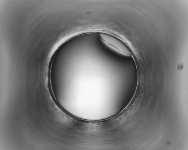X0000099421512200805161033