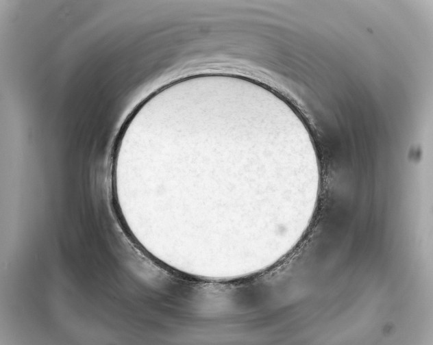 X0000099421514200805161033
