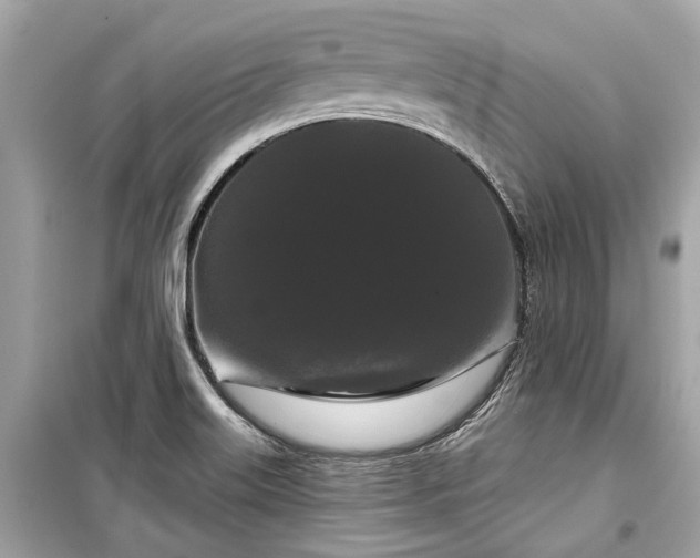 X0000099421515200805161033