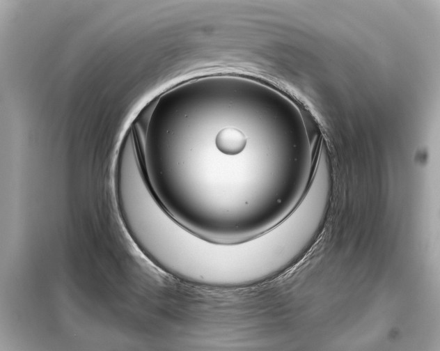 X0000099421516200805161033