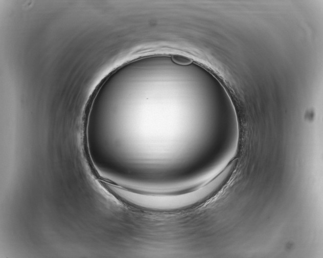 X0000099421518200805161034