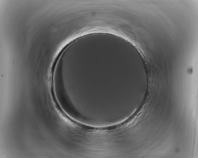 X0000099421519200805161034