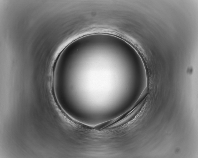 X0000099421520200805161034