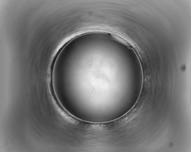 X0000099421523200805161034