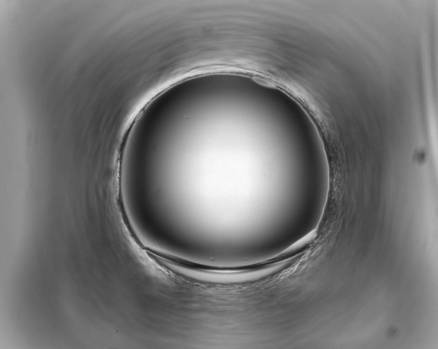 X0000099421524200805161034