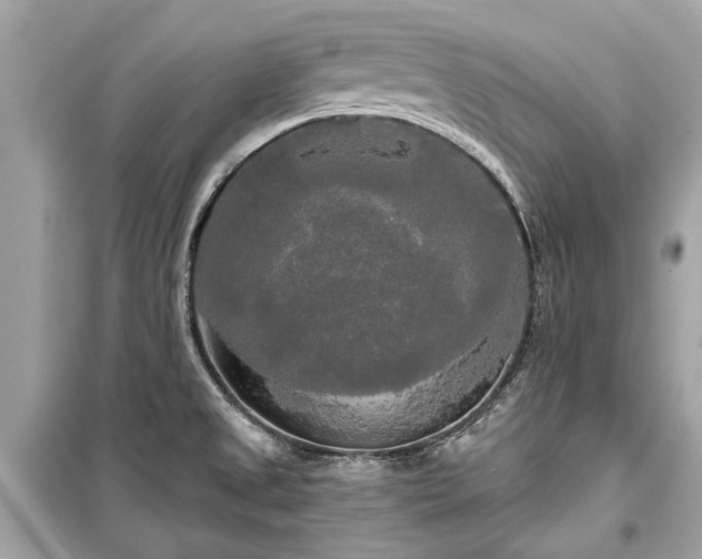 X0000099421525200805161034