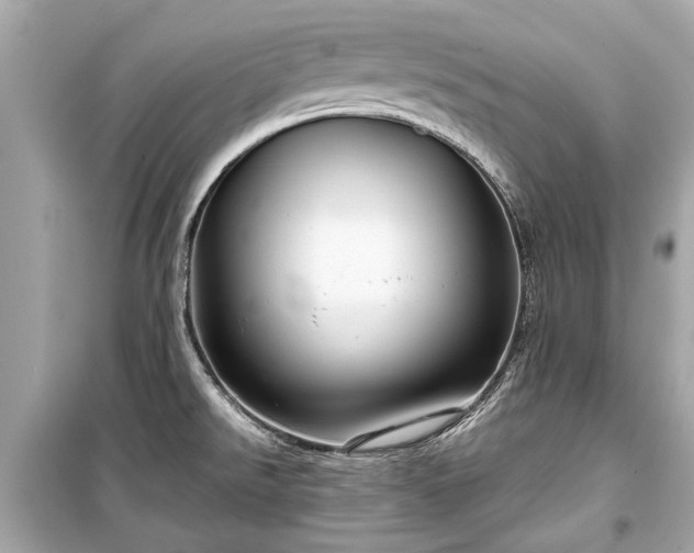 X0000099421526200805161034