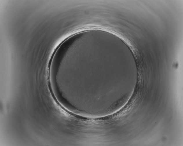 X0000099421527200805161034