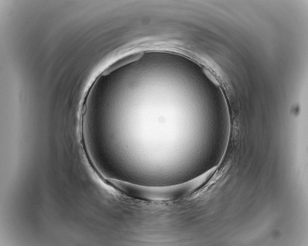 X0000099421528200805161034