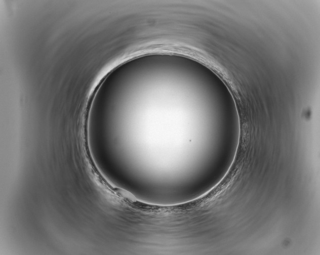 X0000099421530200805161034