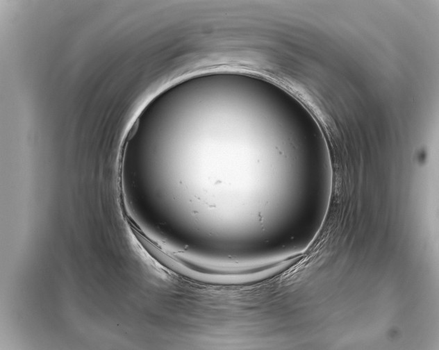 X0000099421532200805161034