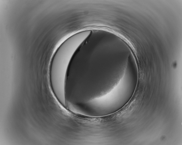 X0000099421533200805161034