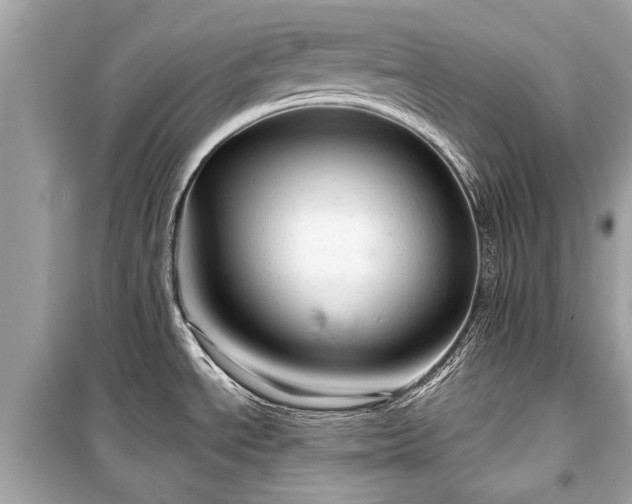 X0000099421534200805161034