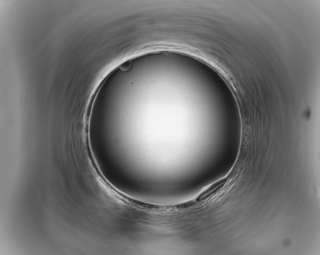 X0000099421535200805161034