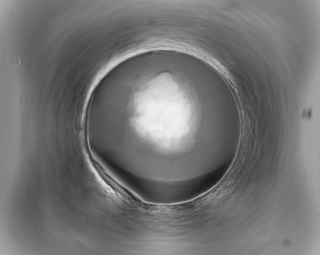 X0000099421536200805161034