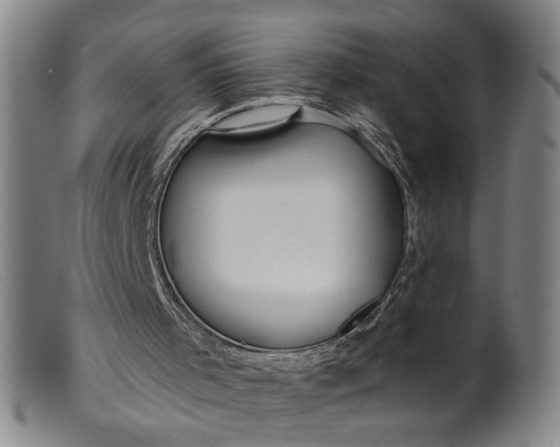 X0000099420001200805231640
