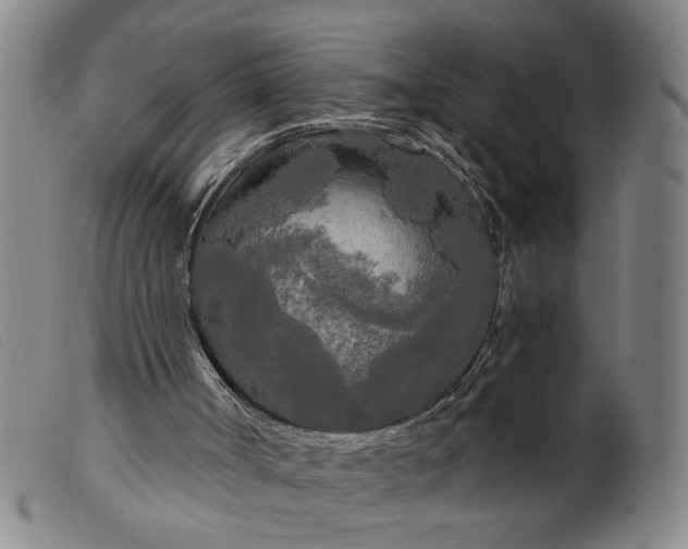 X0000099420002200805231640