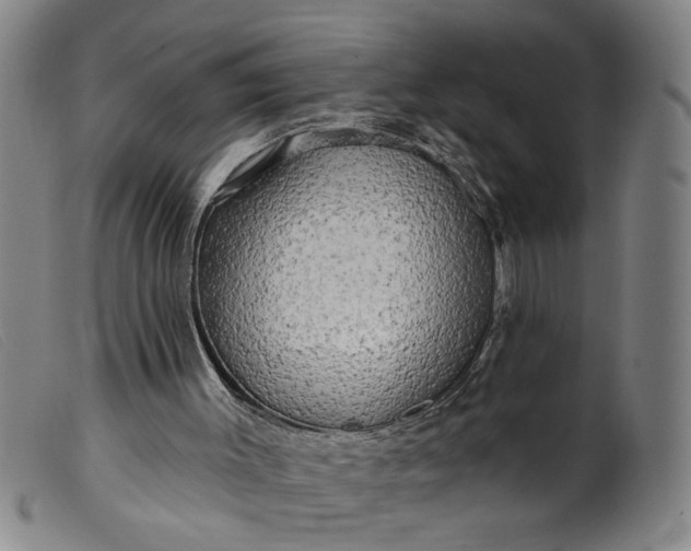 X0000099420003200805231640