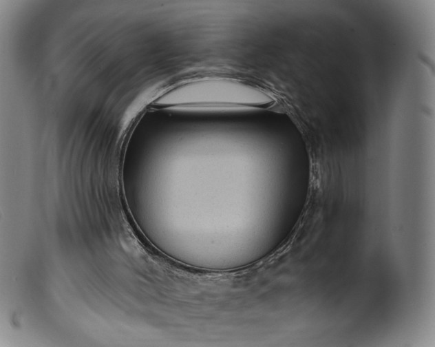 X0000099420004200805231640