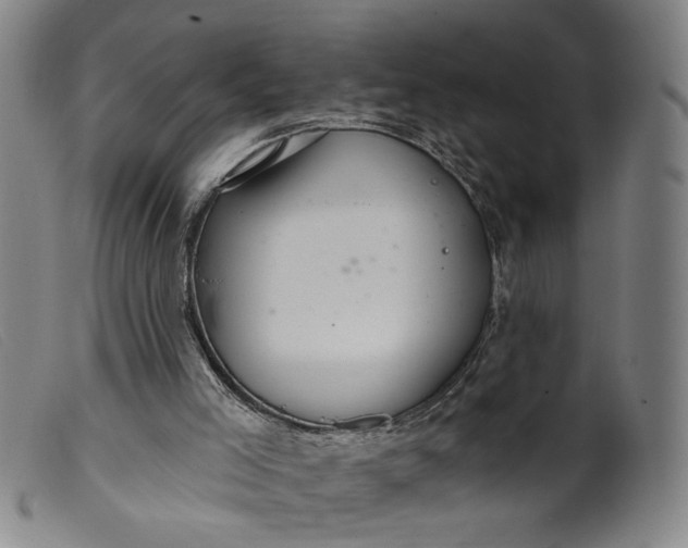 X0000099420005200805231640