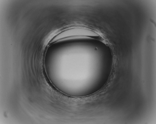 X0000099420007200805231640