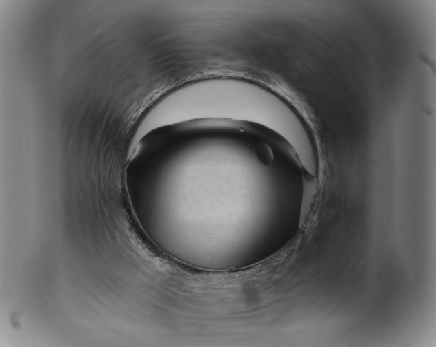 X0000099420009200805231640