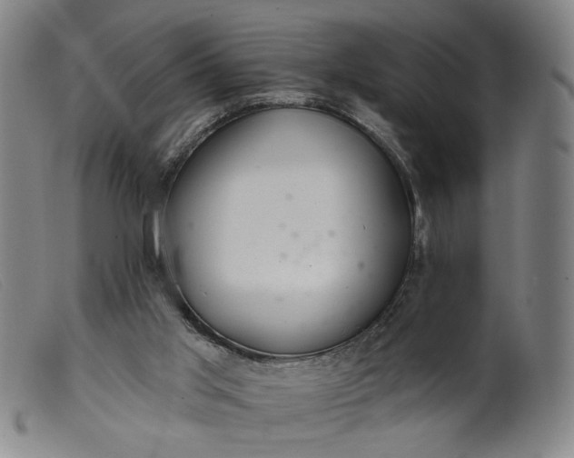 X0000099420013200805231640