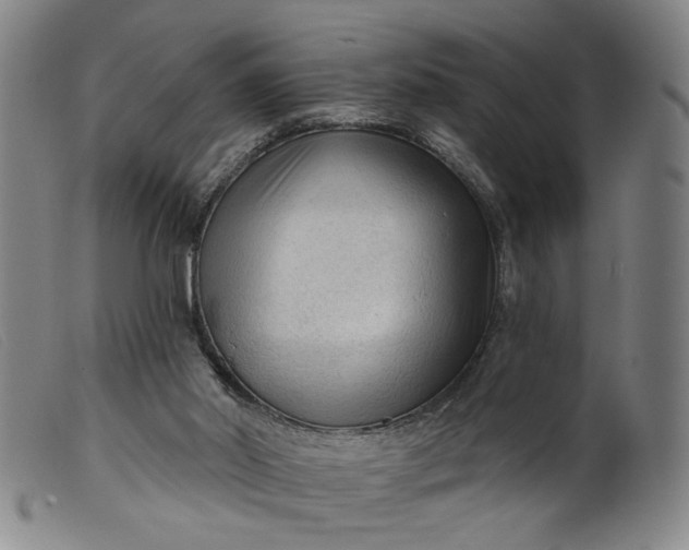X0000099420014200805231640