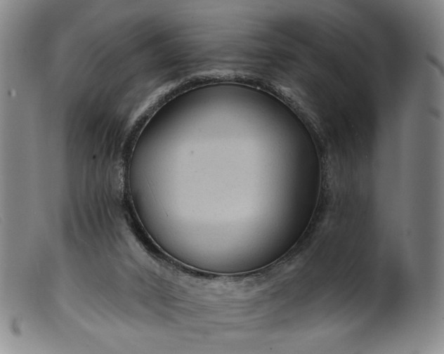 X0000099420016200805231640